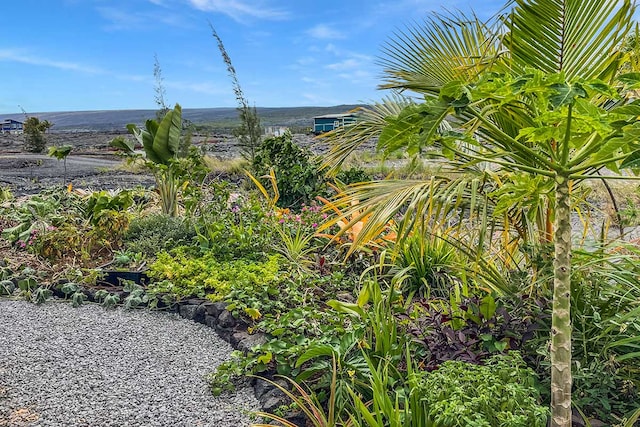 12-2173 Piilani Rd, Pahoa, HI 96778 - photo 21