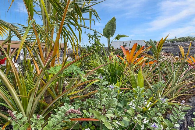 12-2173 Piilani Rd, Pahoa, HI 96778 - photo 22