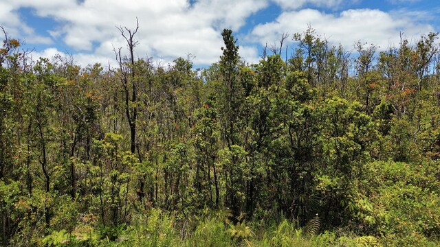 Omeka Rd, Volcano, HI 96785 - photo 1