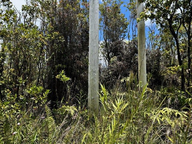 Omeka Rd, Volcano, HI 96785 - photo 5