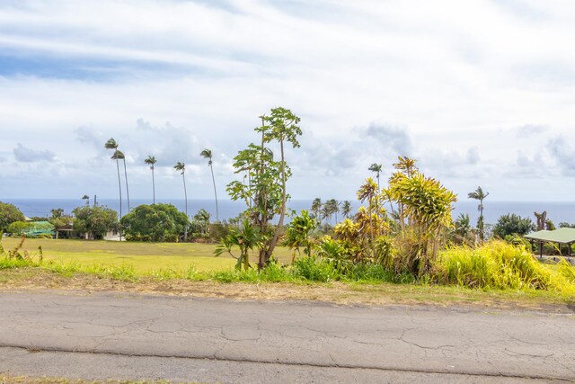 44-316 Puaolena St, Honokaa, HI 96727 - photo 21