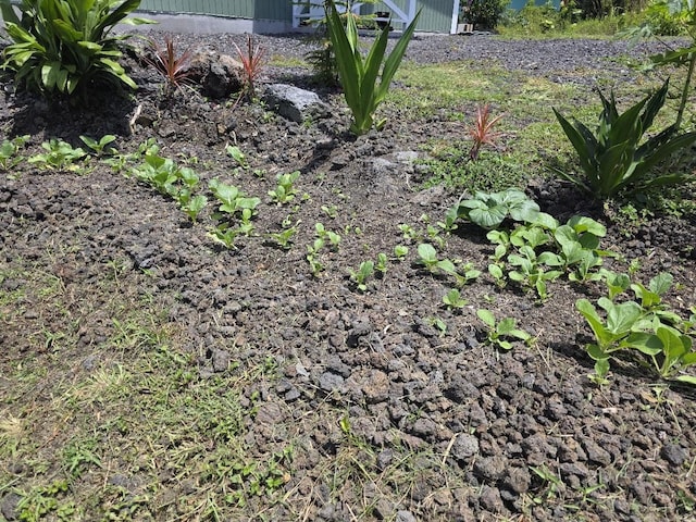 15-2754 Opelu St, Pahoa, HI 96778 - photo 8
