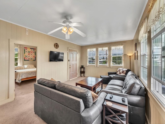 1668 Kilauea Ave, Hilo, HI 96720 - living room with crown molding, light carpet, and a ceiling fan