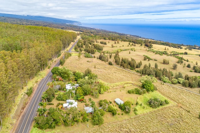 46-4218 Honokaa Waipio Rd, Honokaa, HI 96727 - photo 2