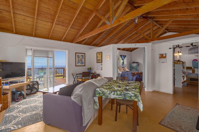 46-4218 Honokaa Waipio Rd, Honokaa, HI 96727 - photo 19