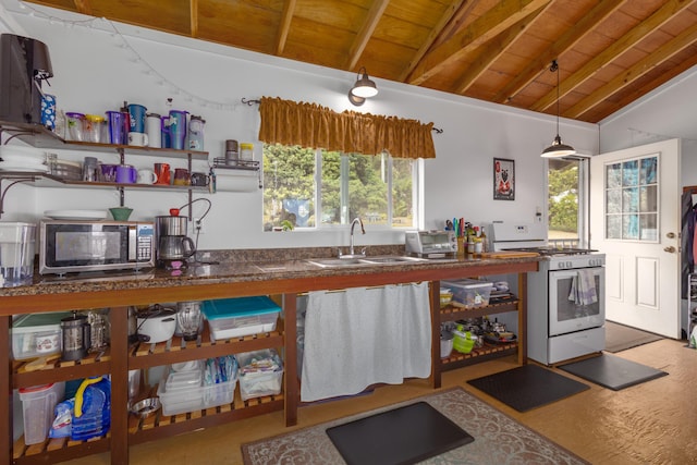 46-4218 Honokaa Waipio Rd, Honokaa, HI 96727 - photo 20