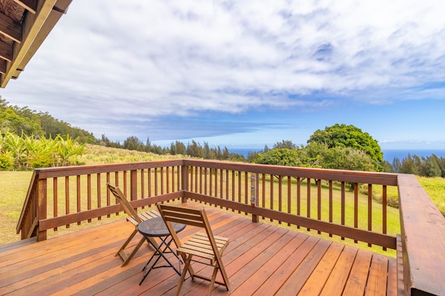 46-4218 Honokaa Waipio Rd, Honokaa, HI 96727 - photo 22