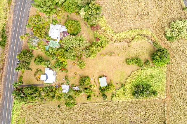 46-4218 Honokaa Waipio Rd, Honokaa, HI 96727 - photo 23