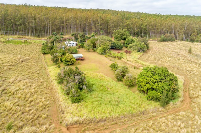 46-4218 Honokaa Waipio Rd, Honokaa, HI 96727 - photo 25