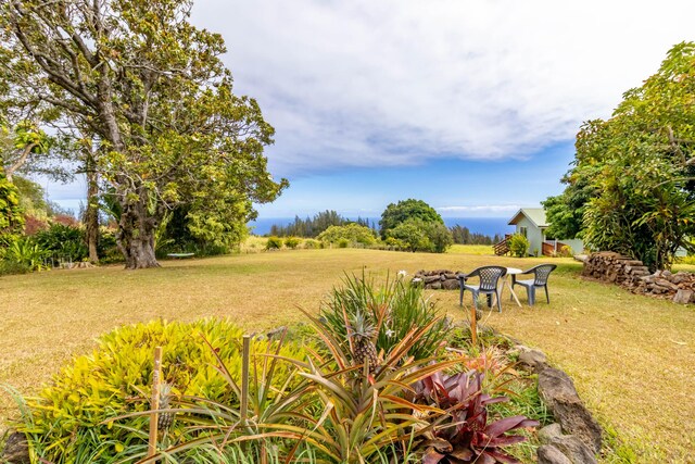 46-4218 Honokaa Waipio Rd, Honokaa, HI 96727 - photo 26