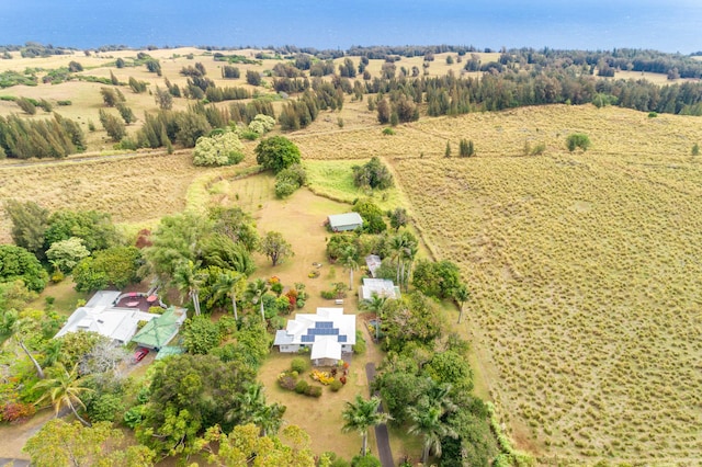 46-4218 Honokaa Waipio Rd, Honokaa, HI 96727 - photo 30