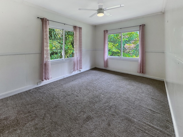 17-312 Volcano Rd, Kurtistown, HI 96760 - carpeted empty room with healthy amount of natural light and ceiling fan