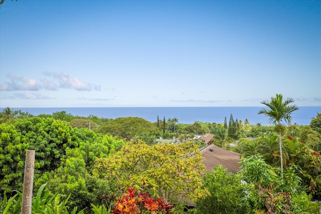 75-5818 Lupa Pl, Kailua-Kona, HI 96740 - photo 15
