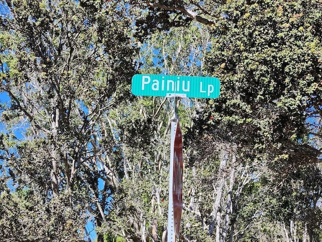 10 Painiu Lp, Volcano, HI 96785