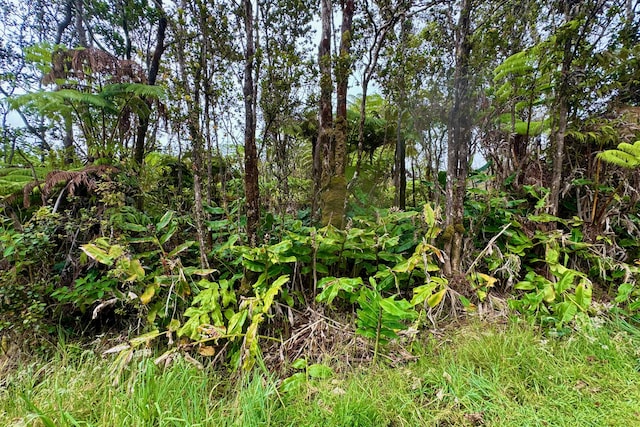 Alaula St, Volcano, HI 96785