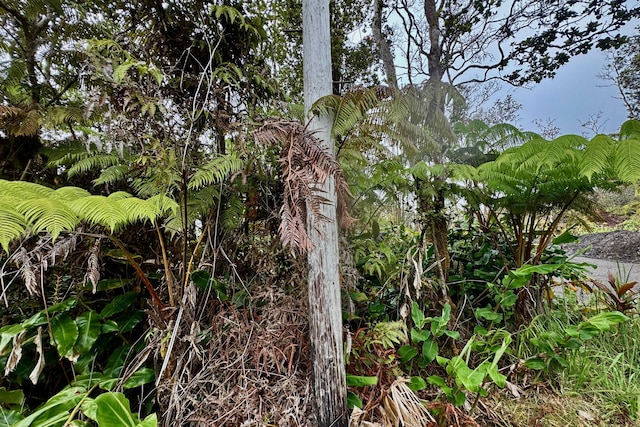 Alaula St, Volcano, HI 96785