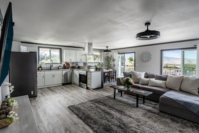 64-5246 Puu Nani Dr, Kamuela, HI 96743 - living area with healthy amount of natural light, ornamental molding, light wood-style floors, and a textured ceiling
