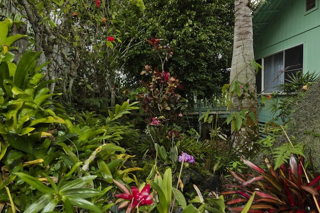 73-4216 Kiekie St, Kailua-Kona, HI 96740 - view of yard