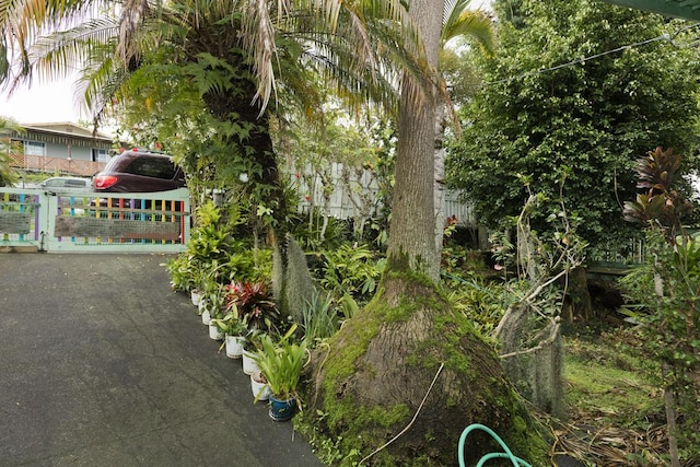 73-4216 Kiekie St, Kailua-Kona, HI 96740 - view of yard