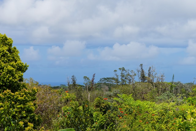 16-1331 Opeapea Rd, Mountain View, HI 96760 - view of wooded area