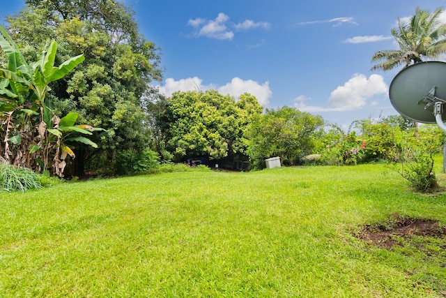 16-1331 Opeapea Rd, Mountain View, HI 96760 - view of green lawn