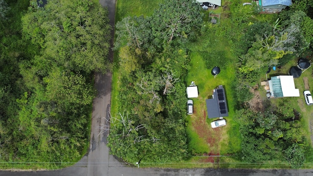 Silversword Ct, Kurtistown, HI 96778 - photo 1