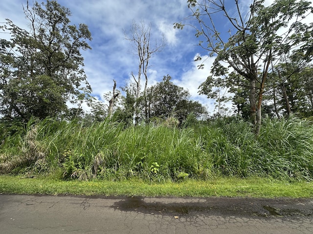 Silversword Ct, Kurtistown, HI 96778 - photo 4