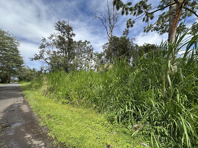 Silversword Ct, Kurtistown, HI 96778 - photo 5