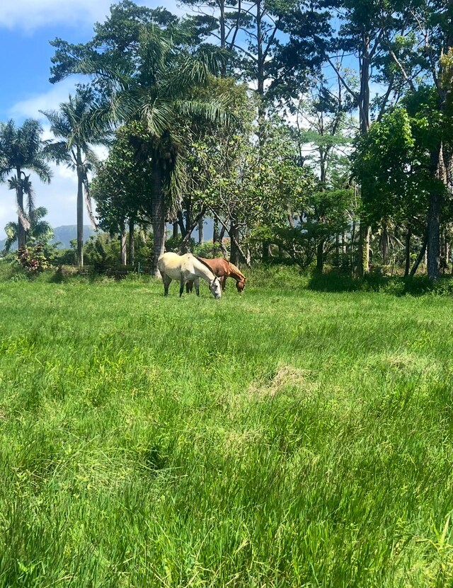 3791 Ahonui Pl, Princeville, HI 96722 - photo 22