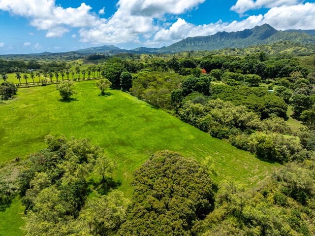3791 Ahonui Pl, Princeville, HI 96722 - photo 4