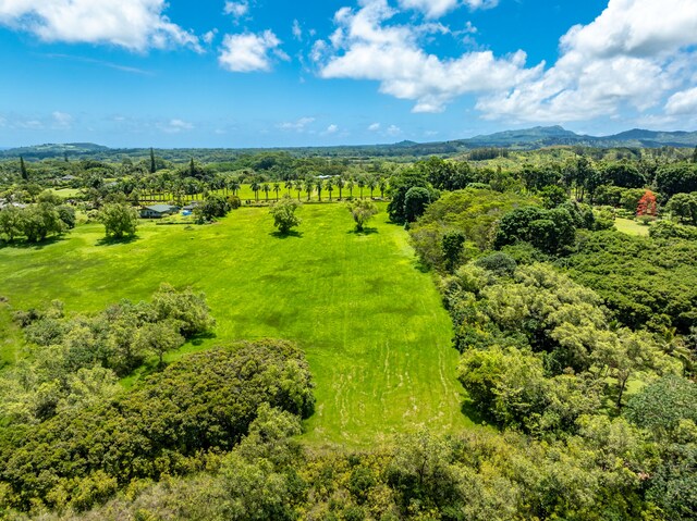3791 Ahonui Pl, Princeville, HI 96722 - photo 5
