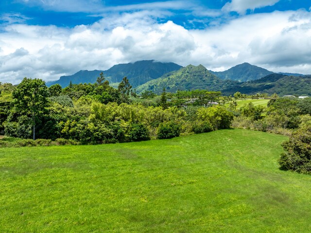 3791 Ahonui Pl, Princeville, HI 96722 - photo 6
