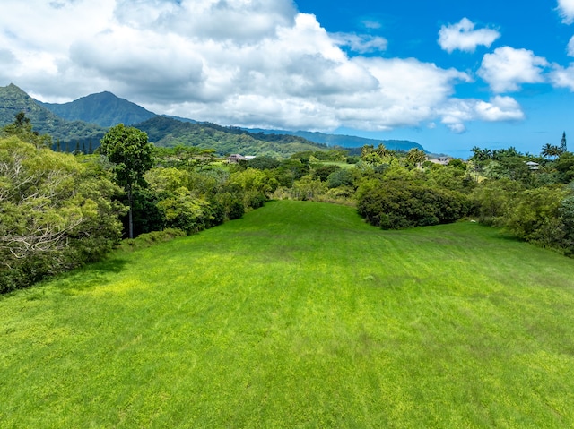 3791 Ahonui Pl, Princeville, HI 96722 - photo 7