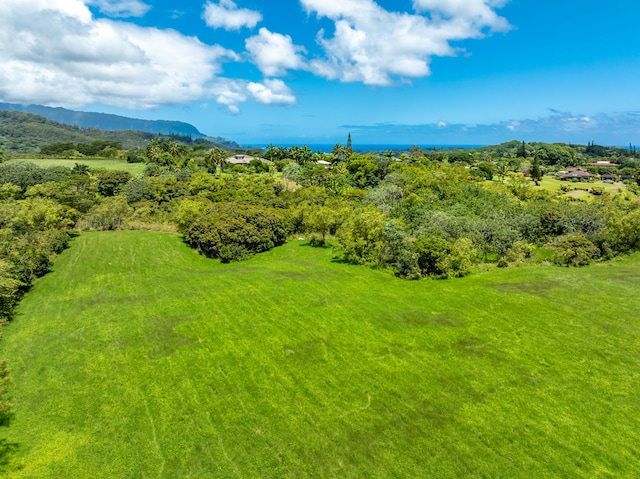 3791 Ahonui Pl, Princeville, HI 96722 - photo 8