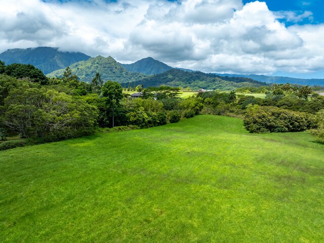 3791 Ahonui Pl, Princeville, HI 96722 - photo 9