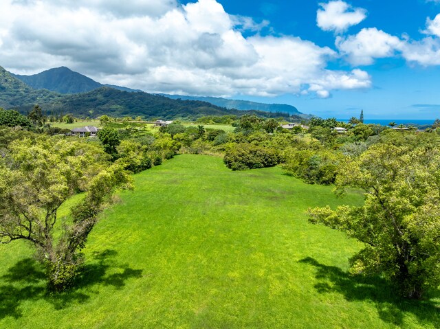 3791 Ahonui Pl, Princeville, HI 96722 - photo 10