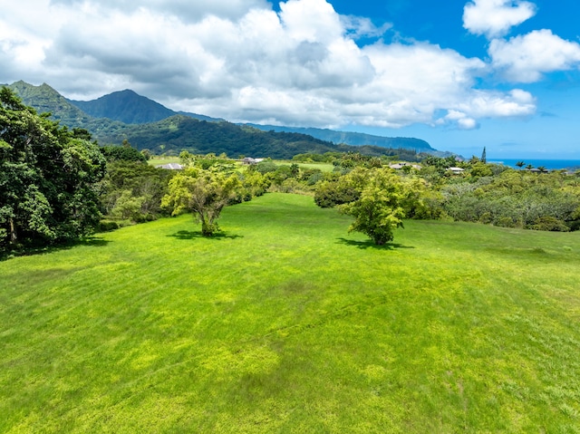 3791 Ahonui Pl, Princeville, HI 96722 - photo 11