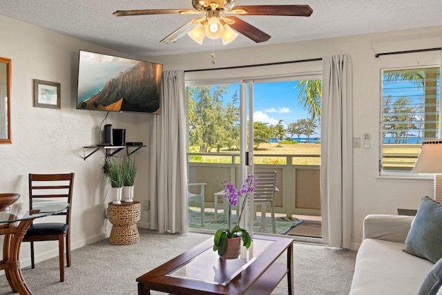 525 Aleka Lp Unit F15, Kapaa, HI 96746 - carpeted living area featuring ceiling fan, healthy amount of natural light, and a textured ceiling