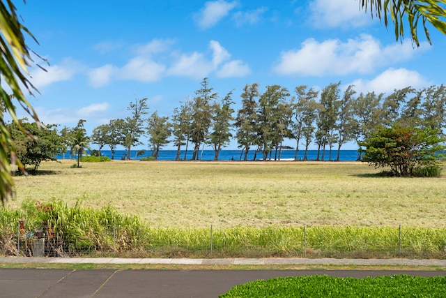 525 Aleka Lp Unit F15, Kapaa, HI 96746 - view of green lawn featuring a water view