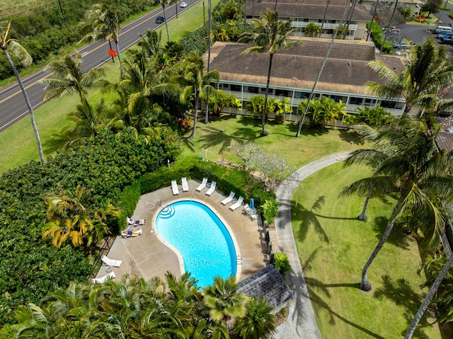 525 Aleka Lp Unit F15, Kapaa, HI 96746 - drone / aerial view of a pool area