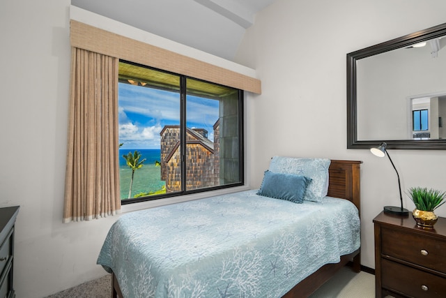 3700 Kamehameha Rd Unit H5, Princeville, HI 96722 - bedroom with carpet floors and vaulted ceiling