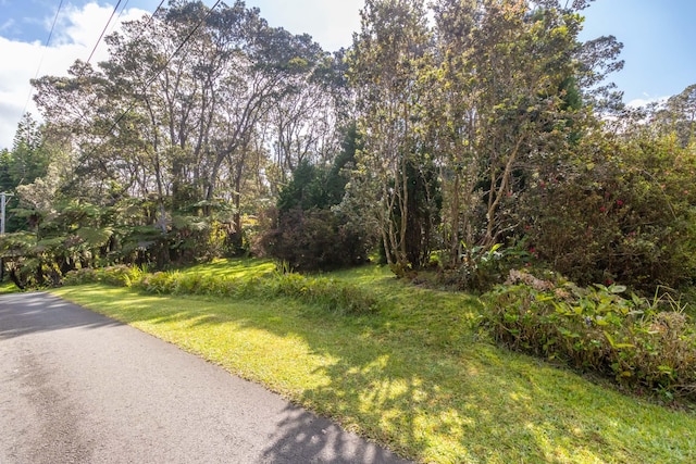 19-4039 Kalani Honua Rd, Volcano, HI 96785