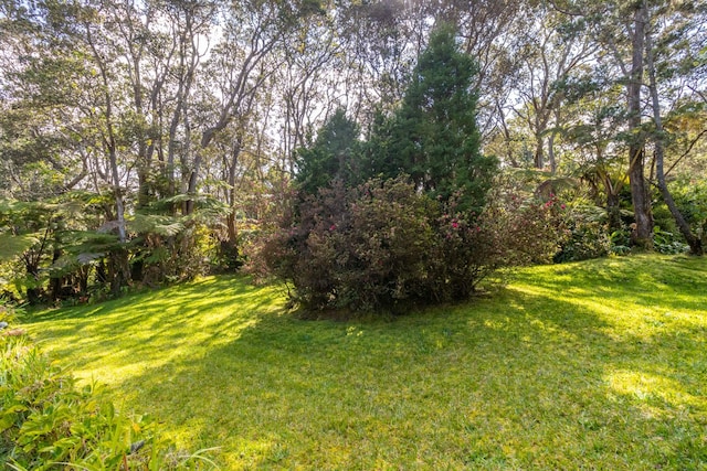 19-4039 Kalani Honua Rd, Volcano, HI 96785