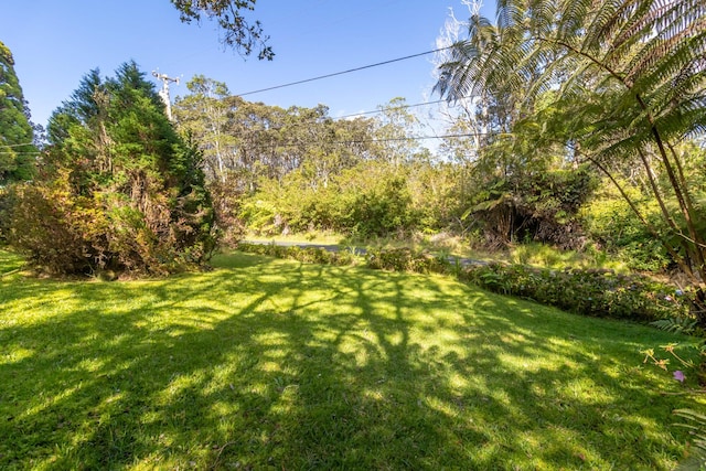 19-4039 Kalani Honua Rd, Volcano, HI 96785