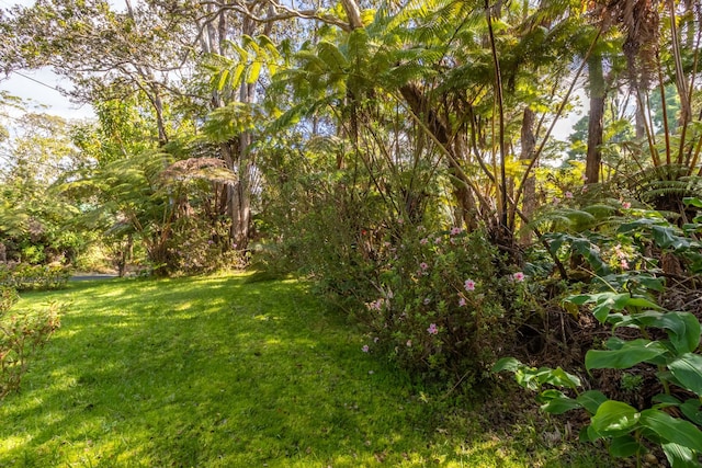 19-4039 Kalani Honua Rd, Volcano, HI 96785