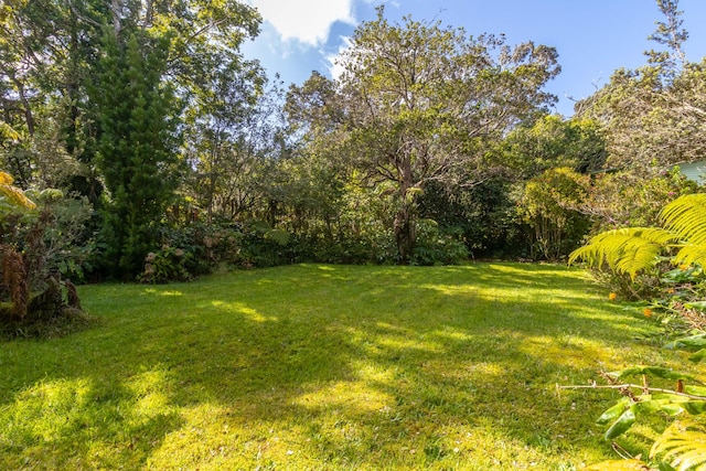 19-4039 Kalani Honua Rd, Volcano, HI 96785