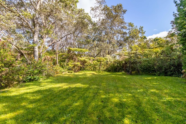 19-4039 Kalani Honua Rd, Volcano, HI 96785