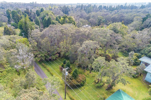 19-4039 Kalani Honua Rd, Volcano, HI 96785