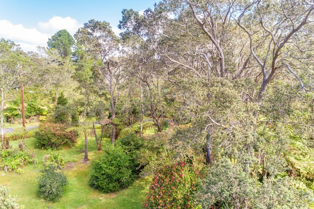 19-4039 Kalani Honua Rd, Volcano, HI 96785