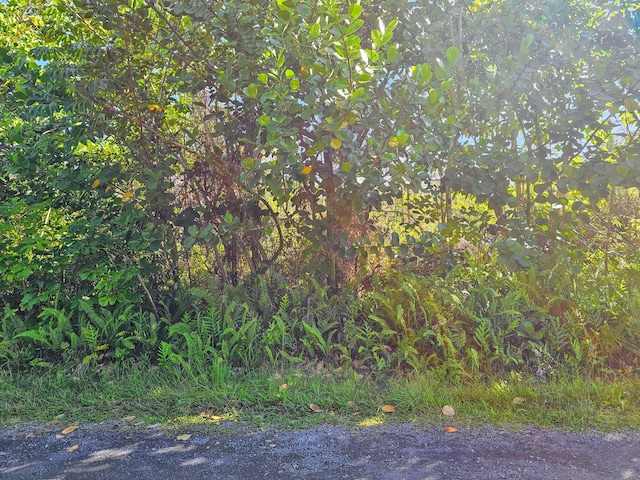 Kukane Rd, Keaau, HI 96749